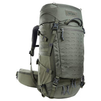 stone grey olive