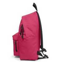 Eastpak selection Padded Pak'r 24 - Rucksack 40 cm (cerise pink) - Markenkoffer