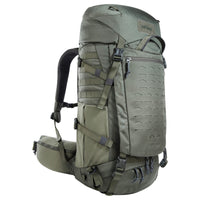 stone grey olive