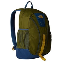 forest olive/shady blue