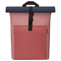 hibiscus - dark rose