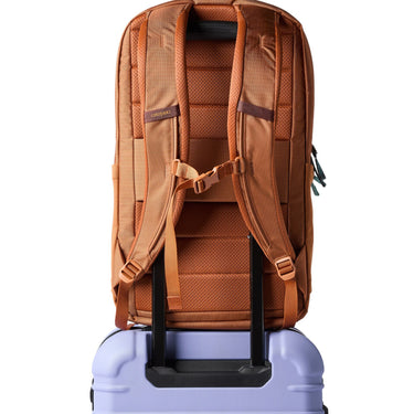 Cotopaxi Allpa 26L Daypack - Rucksack 52 cm (whiskey) - Ansicht 5