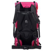 Delsey Paris Nomade - Rucksack 15" 60 cm L RIFD (paonie) - Ansicht 4
