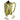 Deuter Speed Lite 13 - Wanderrucksack 44 cm (linden - cactusgrün) - Markenkoffer