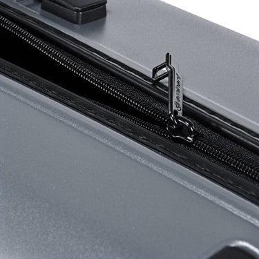 Eminent DANDELION - 4 - Rollen - Trolley 78 cm (dark grey) - Markenkoffer