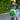KLICKfix Lori Shopper - Fahrradtasche für Kinder (grün) - Markenkoffer