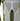 Lowe Alpine AirZone Trek 45:55 - Trekkingrucksack 70 cm (fern, M/L) - Markenkoffer