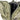 Mystery Ranch Blitz 30 - Rucksack 15" 52 cm (forest, L/XL) - Markenkoffer