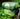 Ortlieb Ultimate Plus 5 - Lenkertasche 24 cm (kiwi - moss green) - Markenkoffer
