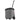 reisenthel thermo carrycruiser ISO - Einkaufstrolley mit Kühlfunktion 47.5 cm (twist silver) - Markenkoffer